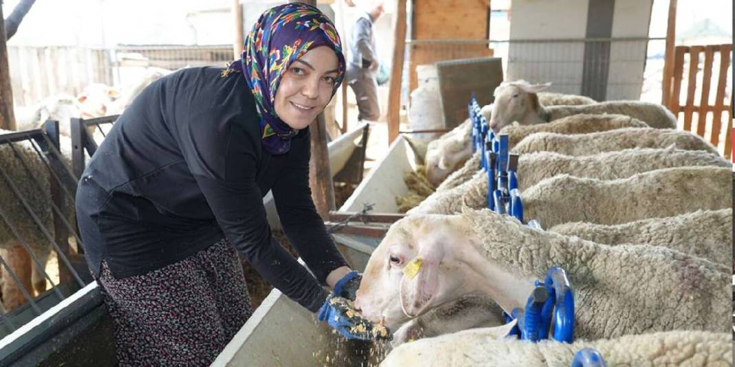3 koyunla başlayan üretim serüveni: Süt ürünleri üretimi ve arıcılığı da el attı 5